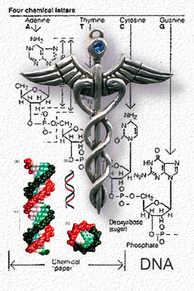 caduceus dna